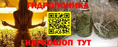 a pvp Усть-Джегута
