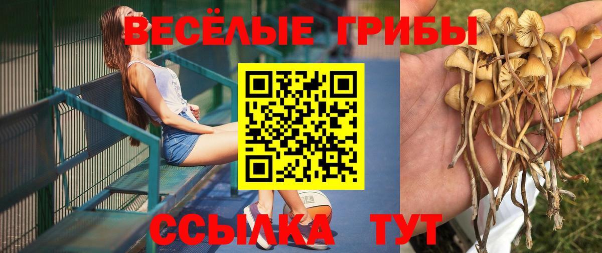 Галлюциногенные грибы Magic Shrooms Артёмовский