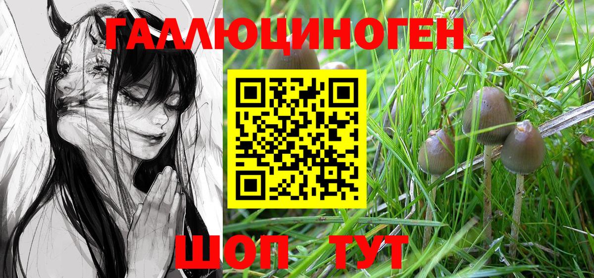 Псилоцибиновые грибы Magic Shrooms  Вход с VPN  Артёмовский 